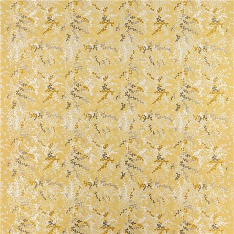 Cecily J0085-04 Cecily J0085-04