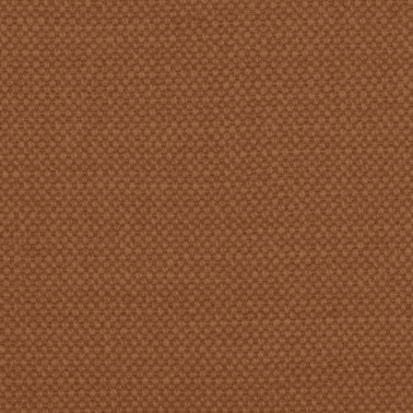 Aspen-81