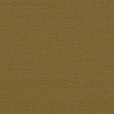 Aspen-111