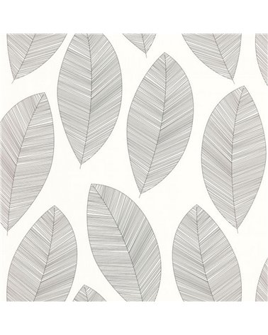 Graphic Leaves Blanc Noir 104310927