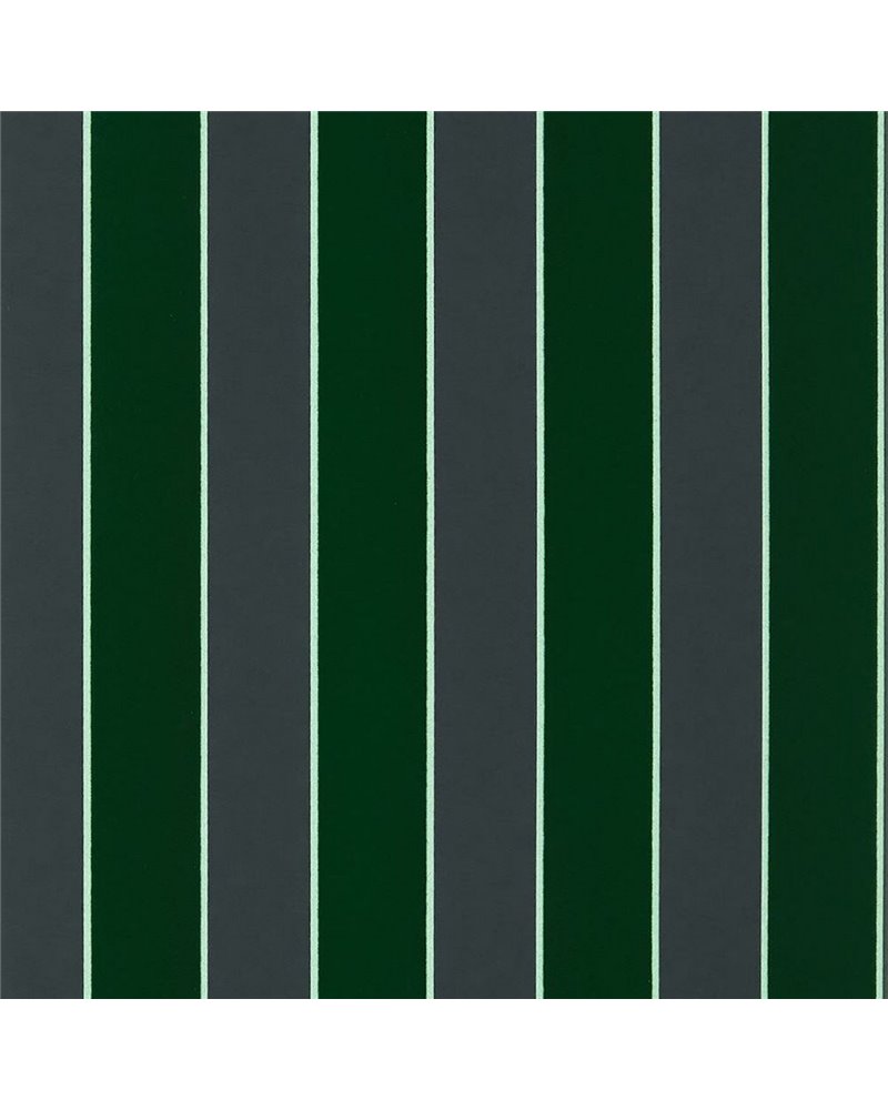 Regency Stripe W7780-01 Regency Stripe W7780-01