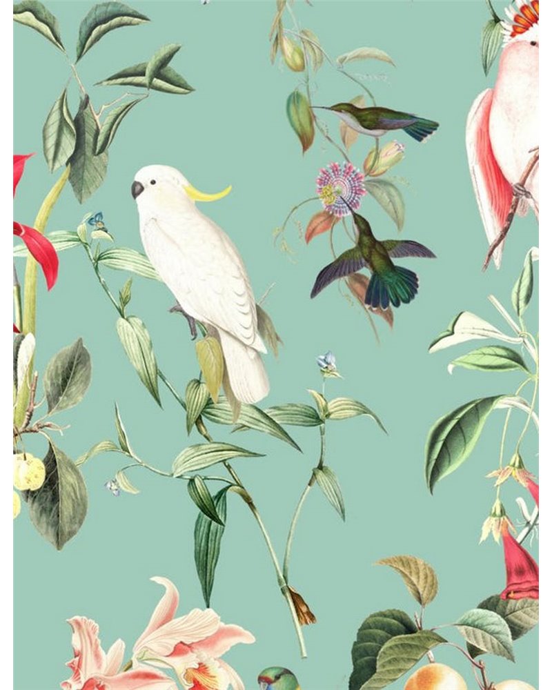 WALLPAPER - BIRDS OF PARADISE - SEA MINT