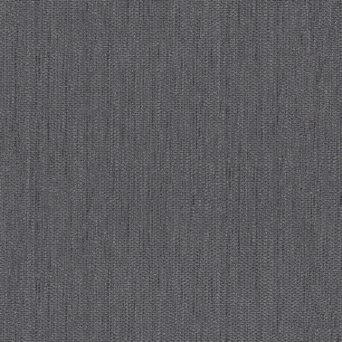 344335