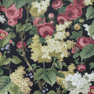 Floribunda Midnight Black 2311-168-04