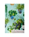 Houseplant Cerulean Twist GRA50108W