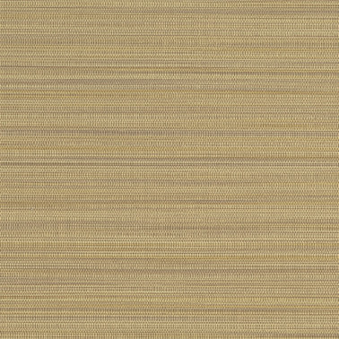 Unito Tahiti 50538