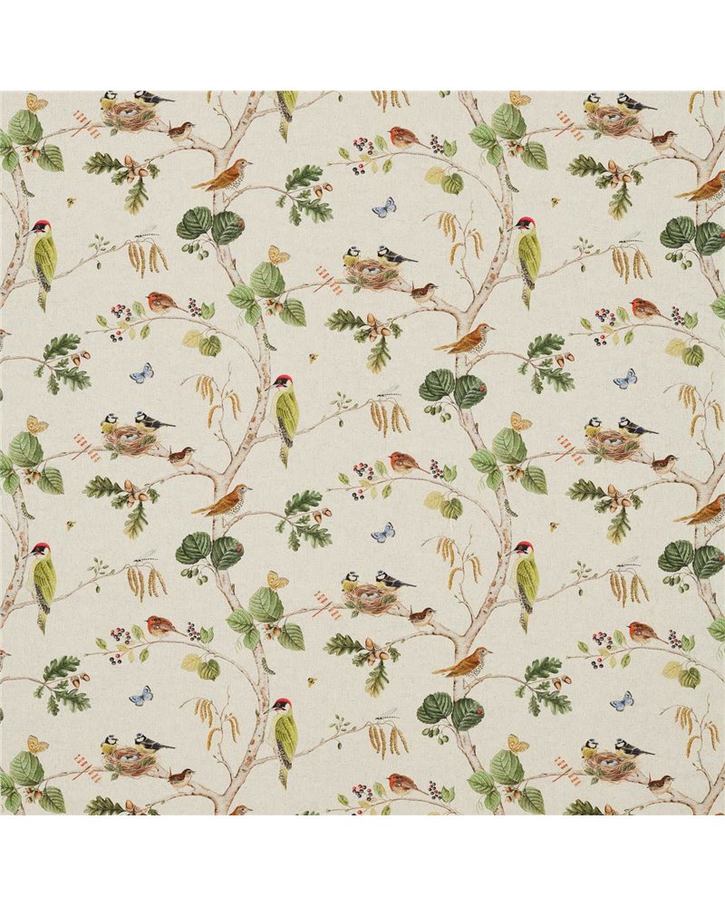 Woodland Chorus Linen Multi DWOW225511