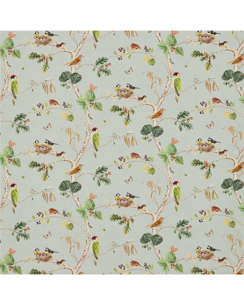 Woodland Chorus Sky Blue Multi DWOW225509 Woodland Chorus Sky Blue Multi DWOW225509