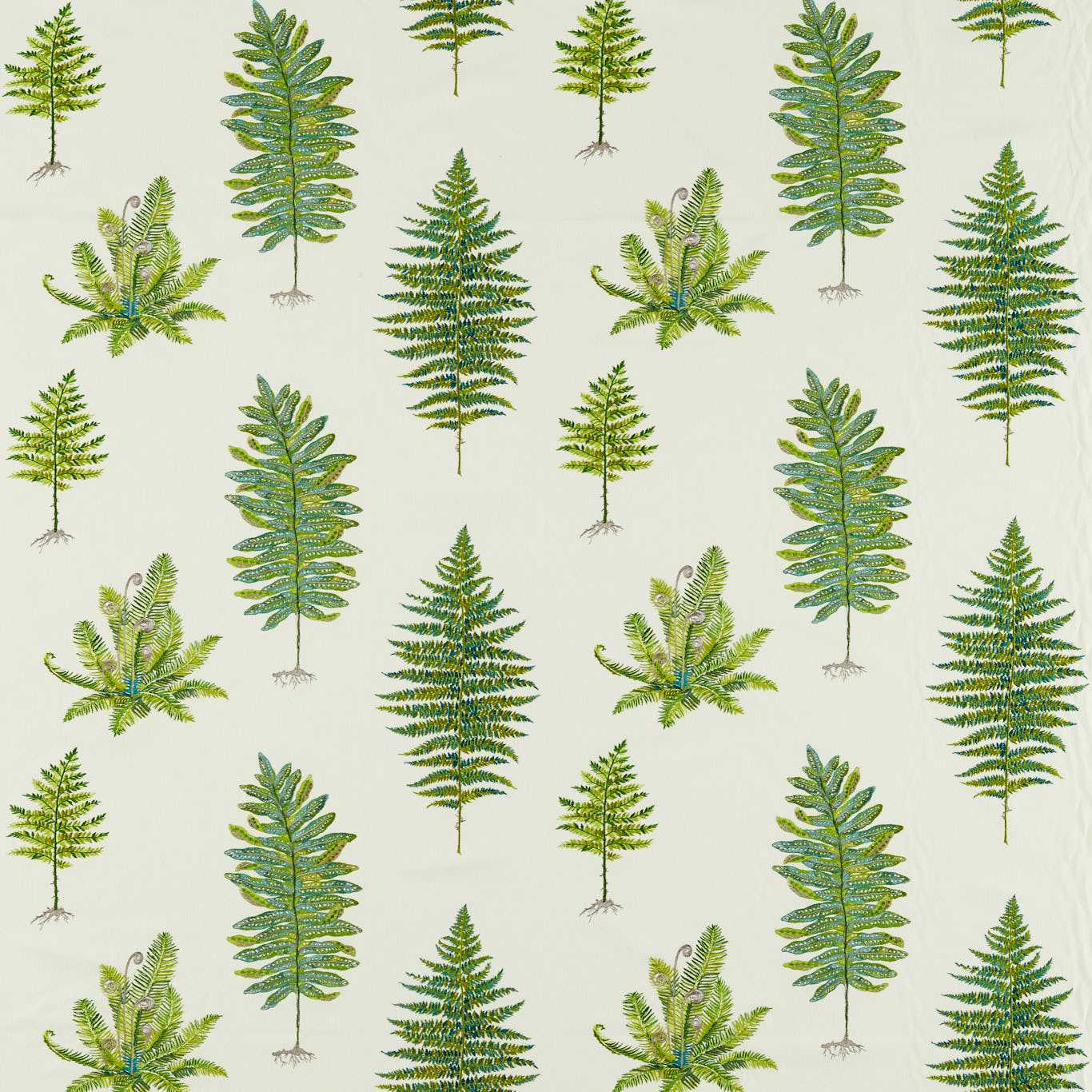 Fernery Embroidery Botanical Green DARF237319
