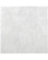 Monstera Plain White 26951