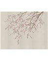 HAORI KMN05 E