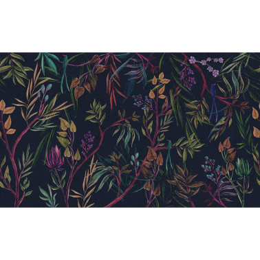 IMARI - C6003