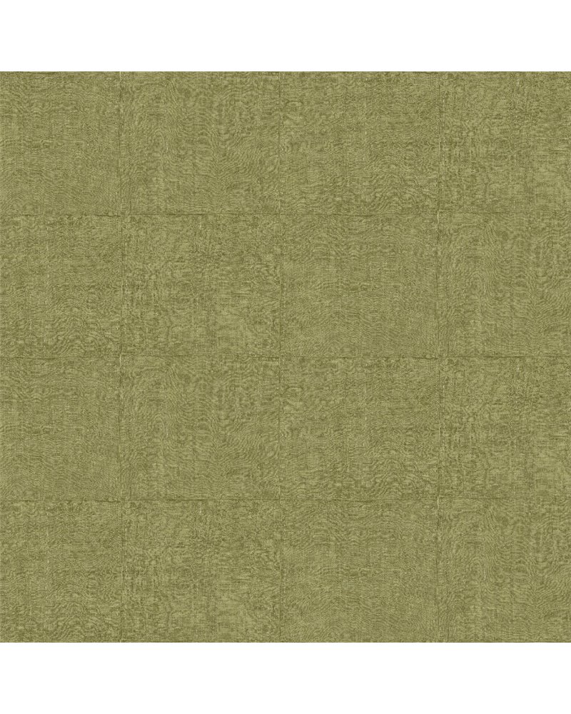 Tintura Olive 33022