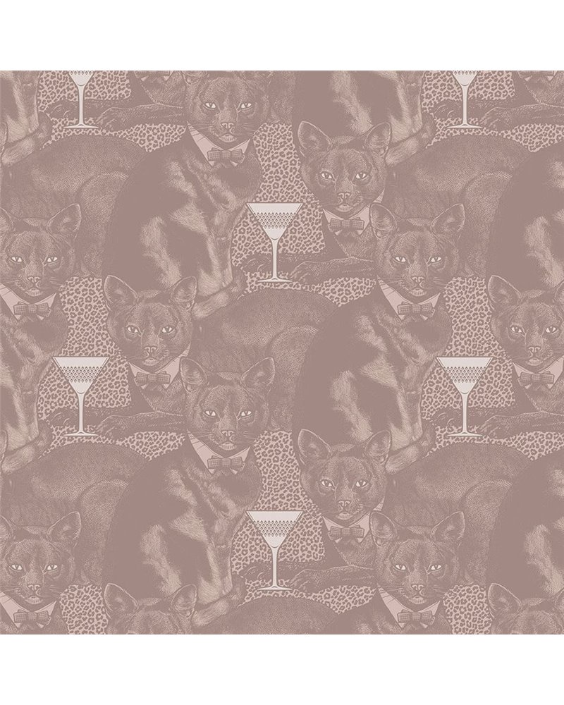 Cat-titude Ginger Tom DVS113 Cat-titude Ginger Tom DVS113