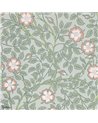 Briar Rose Salix 0263BRSALIX