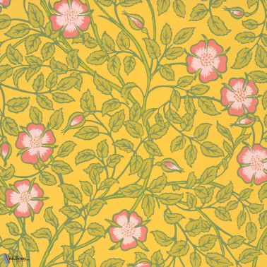 Briar Rose Indian Yellow 0263BRINDIA