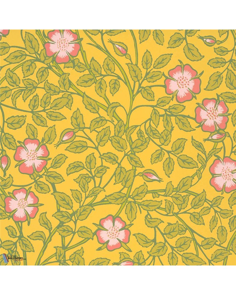 Briar Rose Indian Yellow 0263BRINDIA Briar Rose Indian Yellow 0263BRINDIA