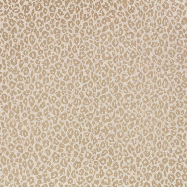 Kitty Pale Gold W453-03
