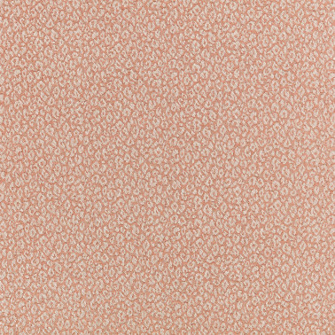 Kitty Powder Room 7998-02
