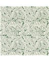 Acanthus Sage W0175-01
