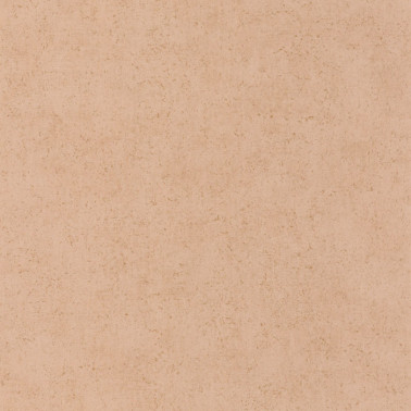 Mur a la Chaux Beige Terre Cuite 88094242