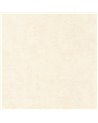 Mur a la Chaux Beige Gres 88091138