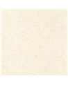 Mur a la Chaux Beige Gres 88091138