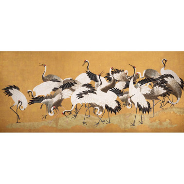 Crane Birds