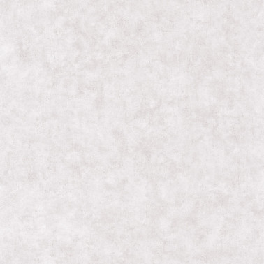 Beton Uni Gris Beton Clair 101489301