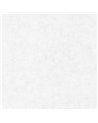 Beton Uni Gris Clair 101489000