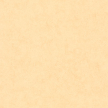 Beton Uni Peau De Peche 101483100