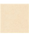 Beton Uni Ivoire 101481247