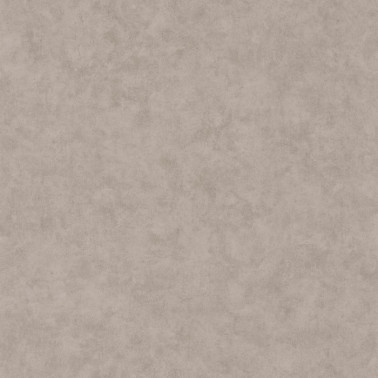 Beton Uni Taupe Gris Moyen 101481795