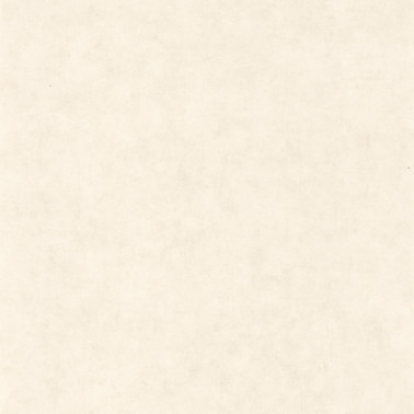 Beton Uni Blanc Beige 101480010