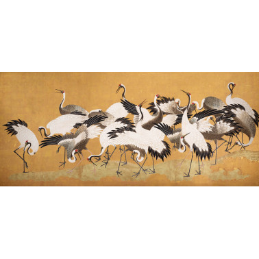 Crane Birds