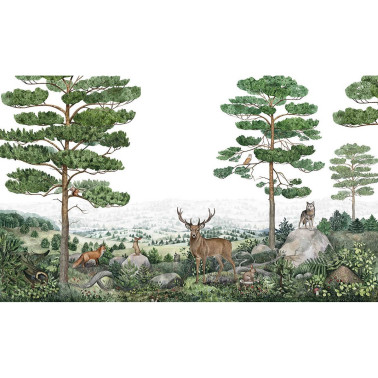 Forest Vista