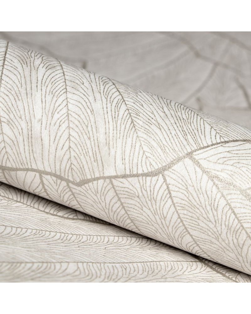 Seashell Old White 65004