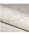 Seashell Old White 65004