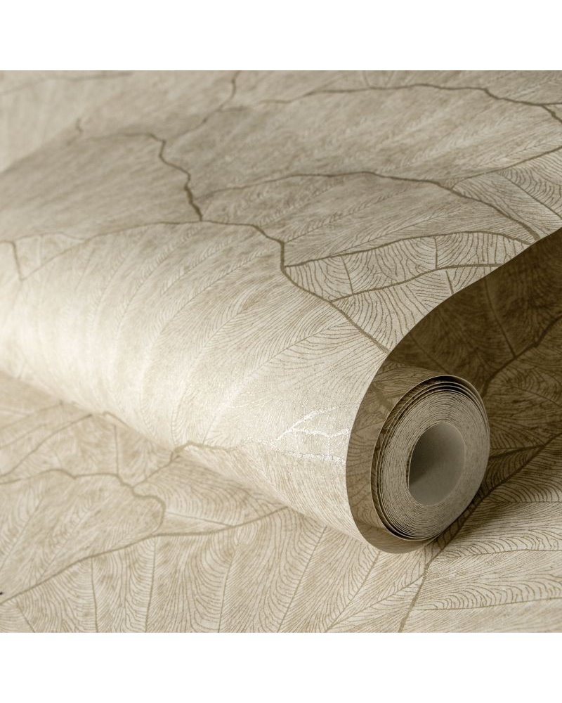 Seashell Beige 65003