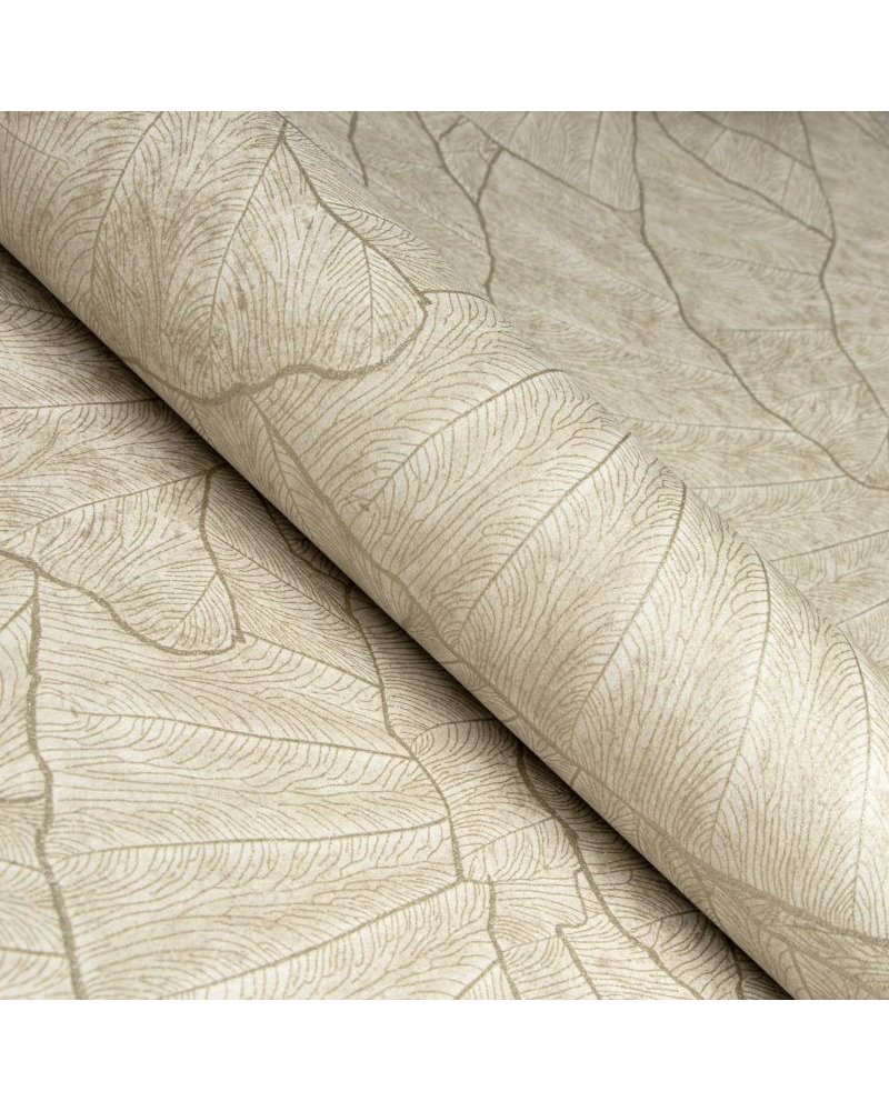 Seashell Beige 65003