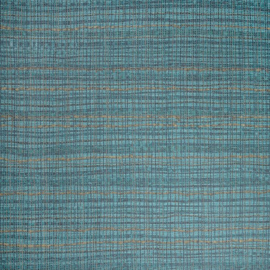 Fondo Spirulina 27099