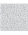 Myosotis Bleu Marine Blanc 89236228