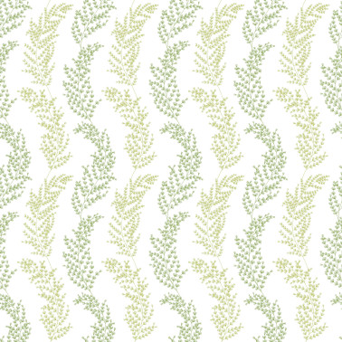 Mimosa Trail Olive JRD50111W