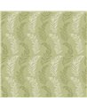 Mimosa Trail Sage Olive JRD50109W