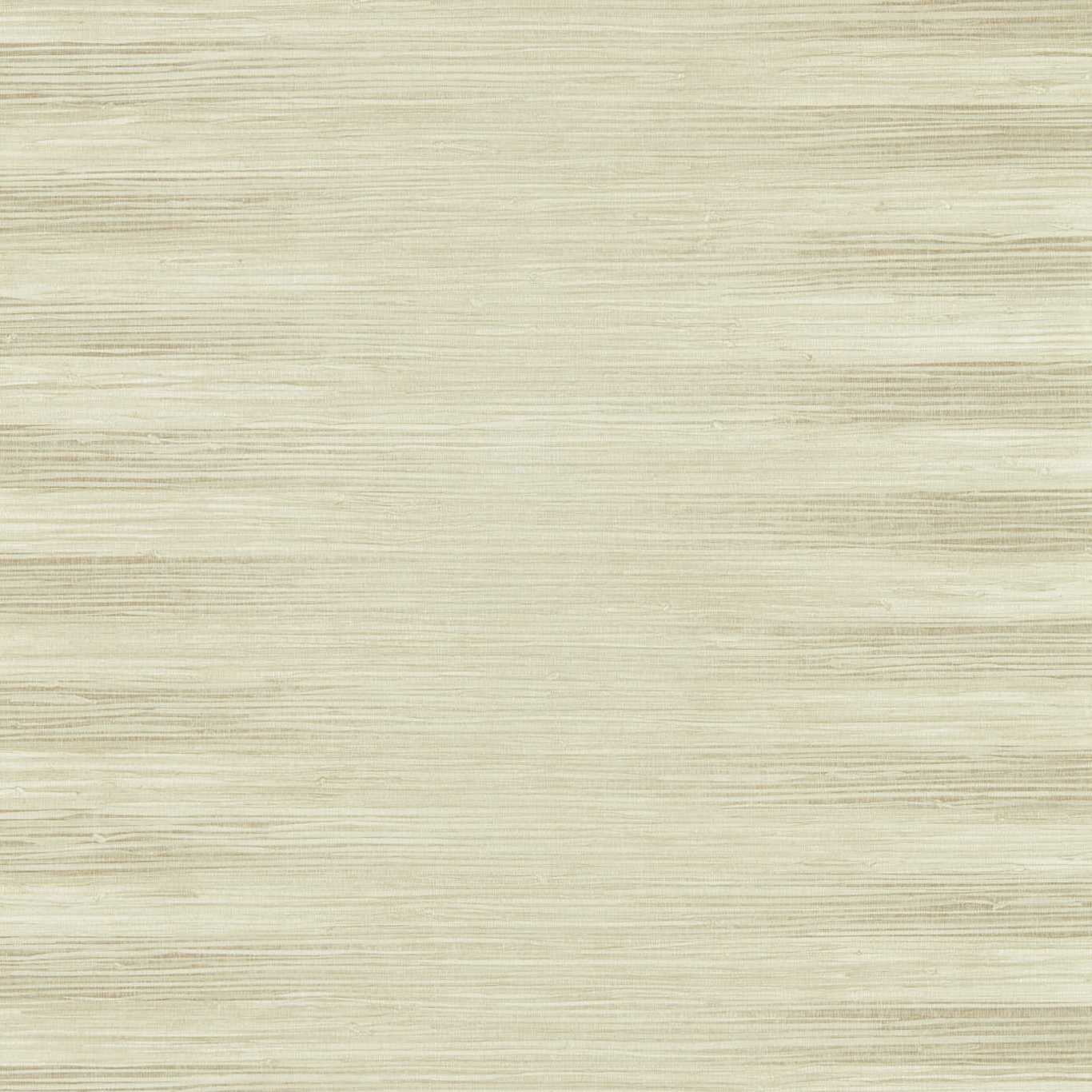 Kensington Grasscloth Paris Grey ZHIW313003