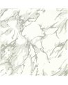 French Marble Empire Grey Perfect White ZCOT313026