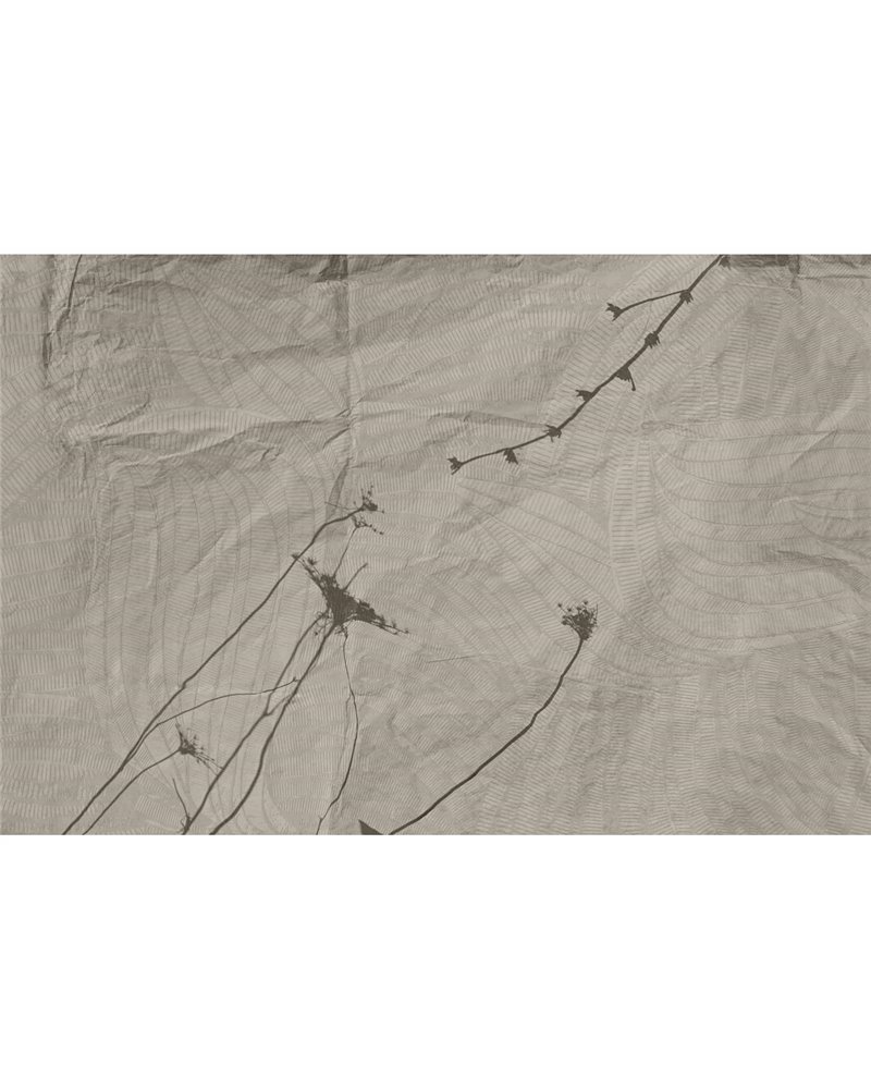 EUPRAXIA GLHY191A