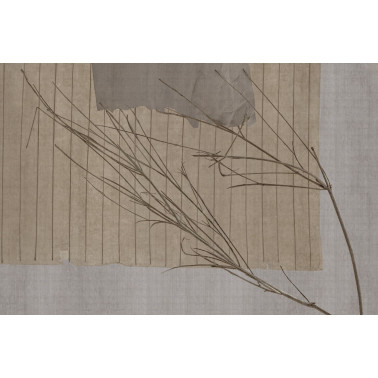 PANACEA GLHY181A