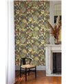 Pomona Olive DGYSA1041-260