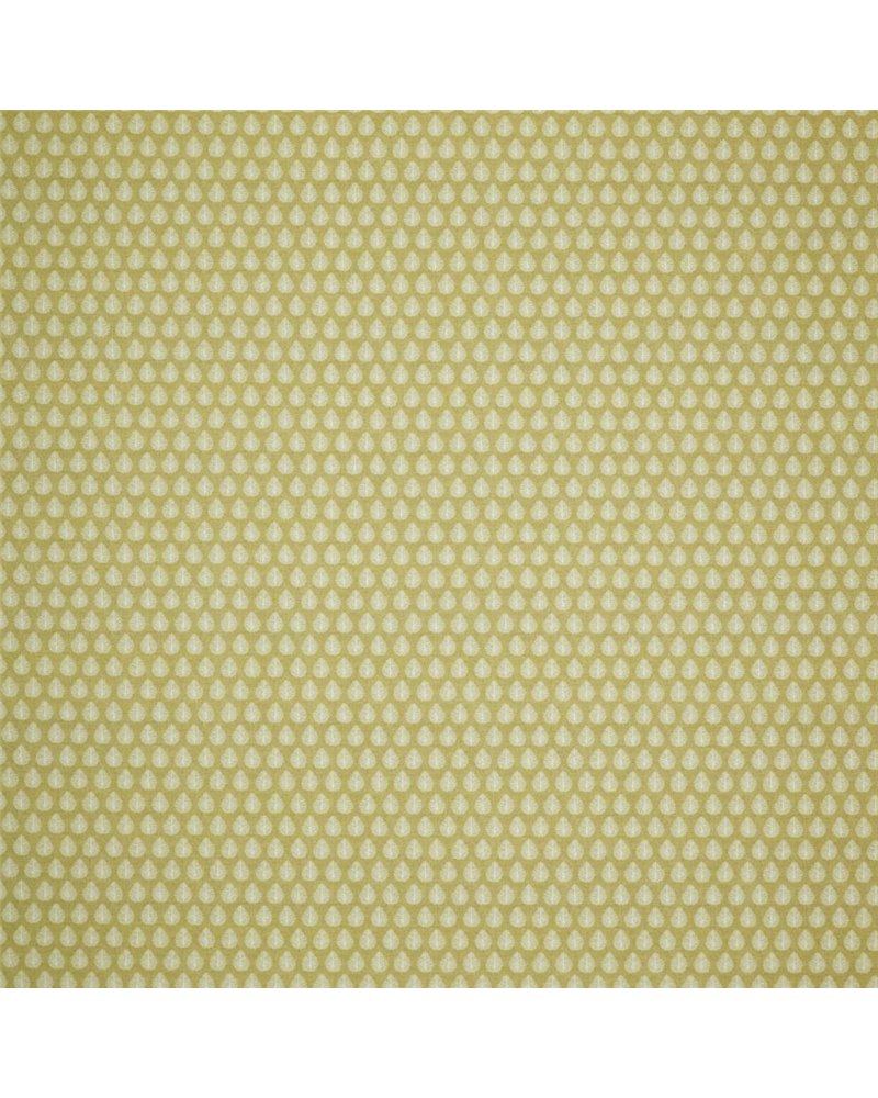 Jaipur Pollen